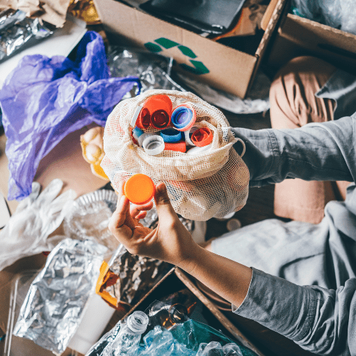 articulo 1 articulo 1